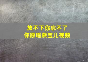 放不下你忘不了你原唱燕宝儿视频