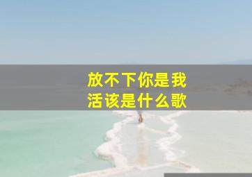 放不下你是我活该是什么歌