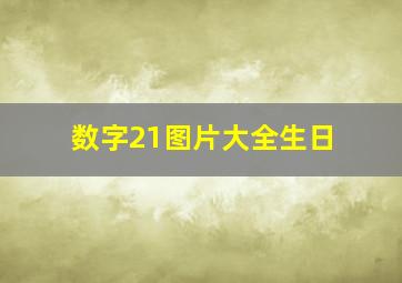 数字21图片大全生日