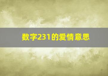 数字231的爱情意思