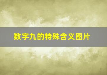 数字九的特殊含义图片