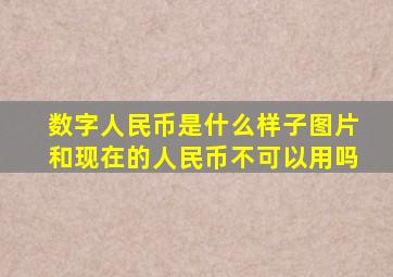 数字人民币是什么样子图片和现在的人民币不可以用吗