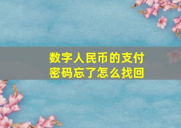 数字人民币的支付密码忘了怎么找回