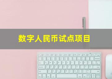 数字人民币试点项目