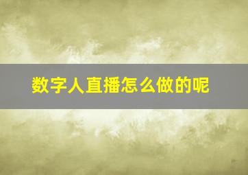 数字人直播怎么做的呢