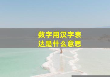 数字用汉字表达是什么意思