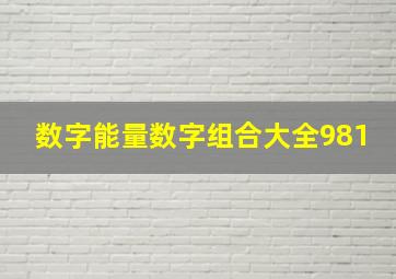 数字能量数字组合大全981