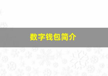 数字钱包简介