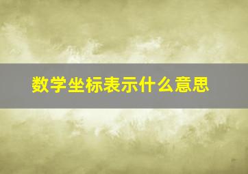 数学坐标表示什么意思