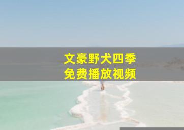 文豪野犬四季免费播放视频