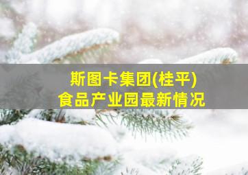 斯图卡集团(桂平)食品产业园最新情况