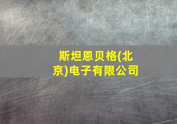 斯坦恩贝格(北京)电子有限公司