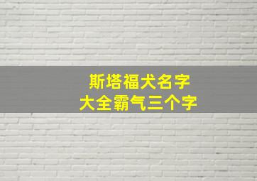 斯塔福犬名字大全霸气三个字