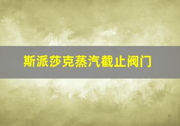 斯派莎克蒸汽截止阀门