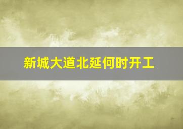 新城大道北延何时开工