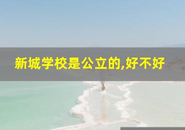 新城学校是公立的,好不好