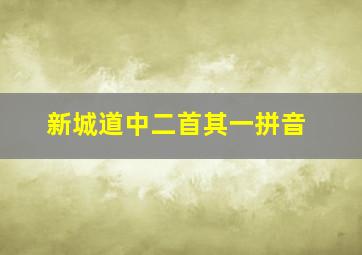 新城道中二首其一拼音