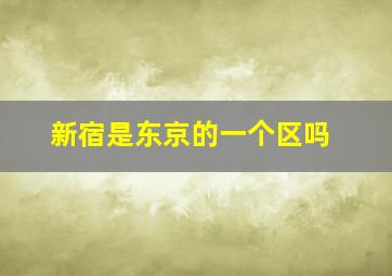 新宿是东京的一个区吗