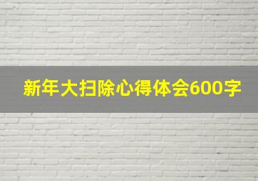 新年大扫除心得体会600字