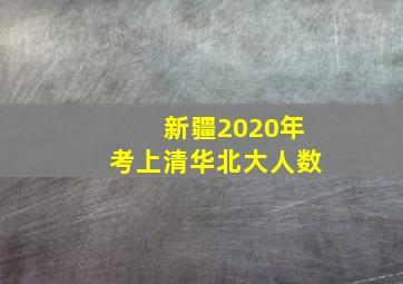 新疆2020年考上清华北大人数