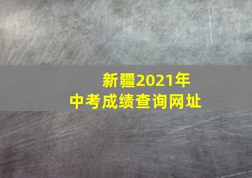 新疆2021年中考成绩查询网址