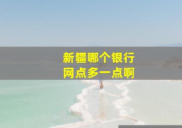 新疆哪个银行网点多一点啊