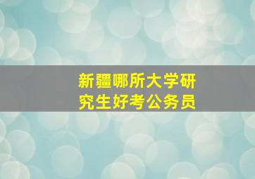 新疆哪所大学研究生好考公务员