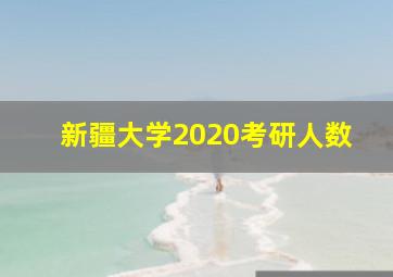 新疆大学2020考研人数