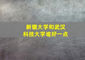 新疆大学和武汉科技大学谁好一点