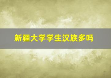 新疆大学学生汉族多吗