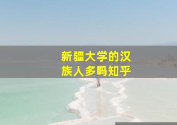 新疆大学的汉族人多吗知乎