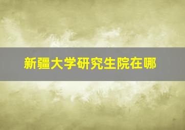 新疆大学研究生院在哪