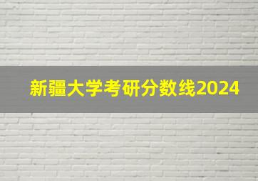 新疆大学考研分数线2024