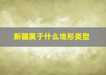 新疆属于什么地形类型