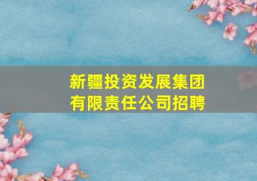 新疆投资发展集团有限责任公司招聘