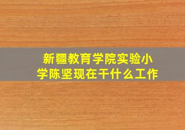 新疆教育学院实验小学陈坚现在干什么工作