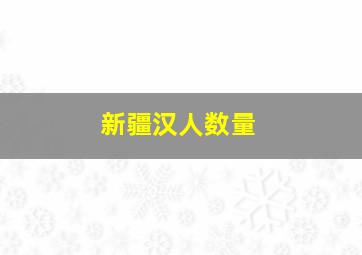 新疆汉人数量