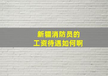 新疆消防员的工资待遇如何啊