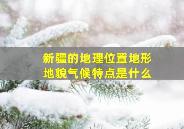 新疆的地理位置地形地貌气候特点是什么