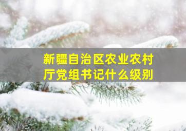 新疆自治区农业农村厅党组书记什么级别