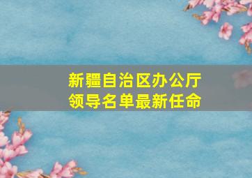 新疆自治区办公厅领导名单最新任命