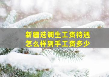 新疆选调生工资待遇怎么样到手工资多少