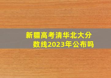 新疆高考清华北大分数线2023年公布吗