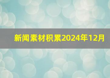 新闻素材积累2024年12月