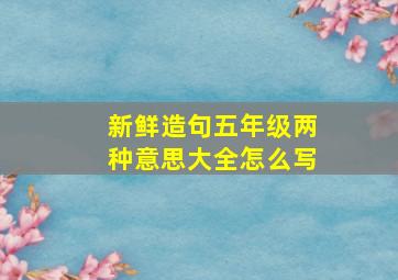 新鲜造句五年级两种意思大全怎么写