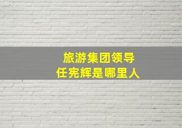 旅游集团领导任宪辉是哪里人