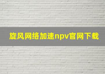 旋风网络加速npv官网下载