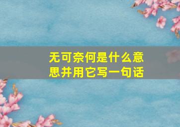 无可奈何是什么意思并用它写一句话