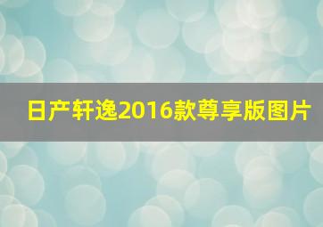 日产轩逸2016款尊享版图片