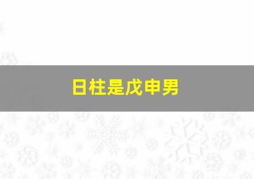 日柱是戊申男